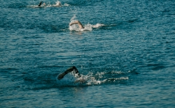 Τρίαθλο - Κολύμβηση_190