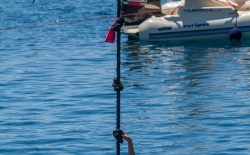 Κολύμπι μετ’ εμποδίων_231