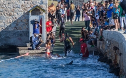 Προθέρμανση & Κολύμβηση_132