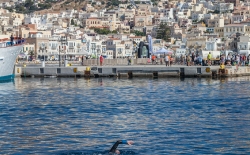 Προθέρμανση & Κολύμβηση_139