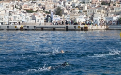Προθέρμανση & Κολύμβηση_152