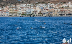 Προθέρμανση & Κολύμβηση_23