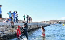 Προθέρμανση & Κολύμβηση_32