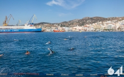 Προθέρμανση & Κολύμβηση_39