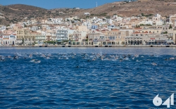 Προθέρμανση & Κολύμβηση_83