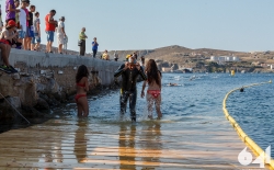 Τρίαθλο - Κολύμβηση_173