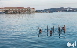 Συγχρονισμένη Κολύμβηση_106