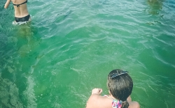 Aqua Aerobic_8
