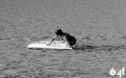 Aqua Triathlon_20