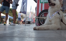 City Running_36