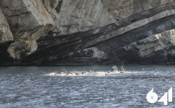 Open Water Swimming_12
