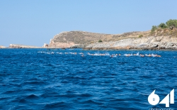Open Water Swimming_18
