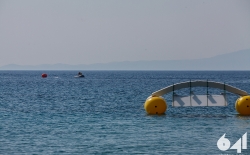 Open Water Swimming_196