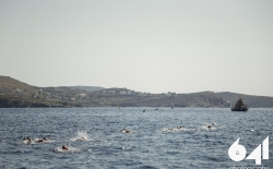 Open Water Swimming_19
