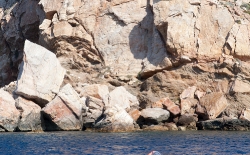 Open Water Swimming_24