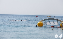 Open Water Swimming_300