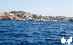 Open Water Swimming_50