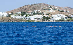 Open Water Swimming_56