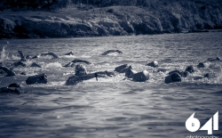 Open Water Swimming_65