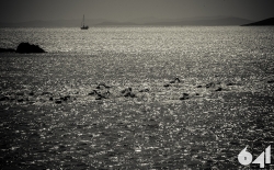 Open Water Swimming_83