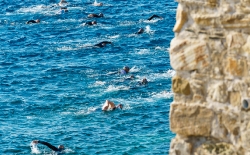 Syros Triathlon v.2_66