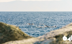 Syros Triathlon v.2_67