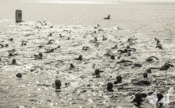2nd Day - 3rd Syros Triathlon v1._114