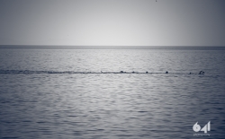 2nd Day - 3rd Syros Triathlon v1._1