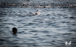 2nd Day - 3rd Syros Triathlon v1._2