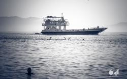 Τρίαθλο - Κολύμβηση v.1_6