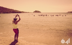 aerobic_97