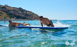 Aqua Triathlon_8