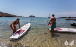 Bic Sup v1
