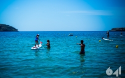 Bic Sup _40