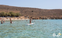Bic Sup _48