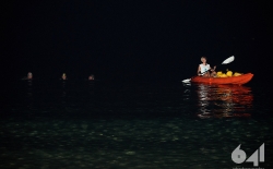 Night Swimming_31