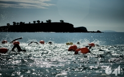 Open Sea v.1_95