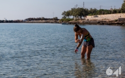 Open Sea Swimming v.2_30
