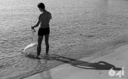 Open Sea Swimming v.2_40