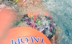 Open Sea Swimming v.3_16