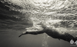 Open Sea Swimming v.3_34