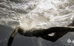 Open Sea Swimming v.3_35