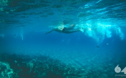 Open Sea Swimming v.3_41