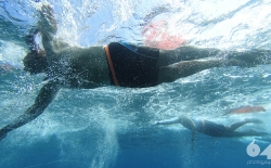Open Sea Swimming v.3_42