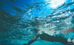 Open Sea Swimming v.3_43