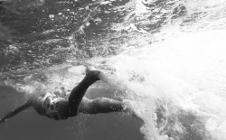 Open Sea Swimming v.3_44