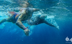 Open Sea Swimming v.3_46