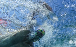 Open Sea Swimming v.3_49