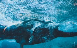 Open Sea Swimming v.3_50