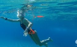 Open Sea Swimming v.3_55